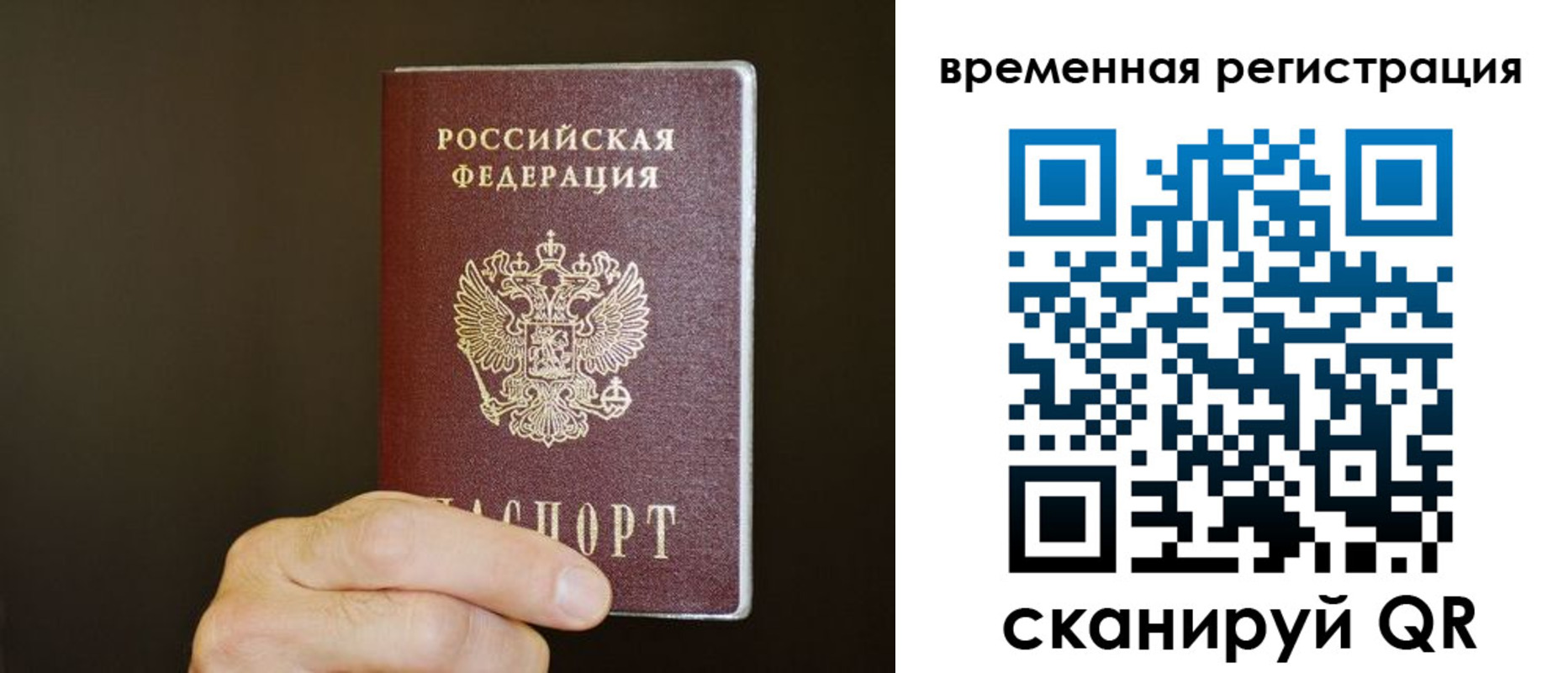 прописка гарантия в Моздоке
